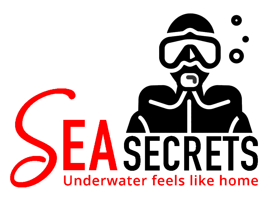 Enjoy One Of The Best Diving Center In Hurghada Enjoy One Of The Best Diving Center In Hurghada